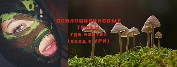 PSILOCYBIN Дмитровск