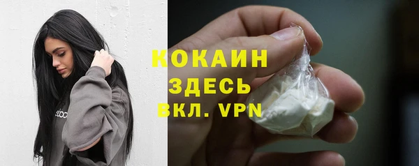 эйфоретик Ельня