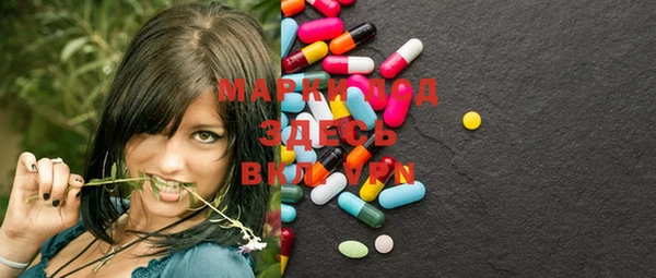 ECSTASY Елизово