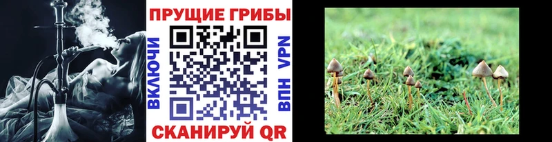 Галлюциногенные грибы ЛСД  Купить закладки  Каменка 